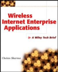 Wireless Internet Enterprise Applications