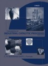 Fundamentals of Industrial Catalytic Processes