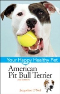 American Pit Bull Terrier