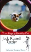 Jack Russell Terrier