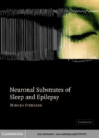 Neuronal Substrates of Sleep and Epilepsy