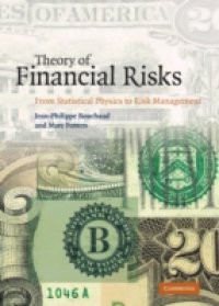 Theory of Financial Risks