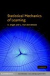 Statistical Mechanics of Learning