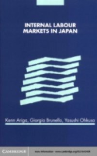 Internal Labour Markets in Japan