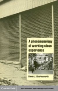 Phenomenology of Working-Class Experience