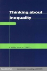 Thinking about Inequality
