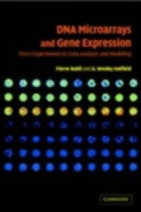 DNA Microarrays and Gene Expression