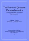 Phases of Quantum Chromodynamics