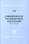 Cohomology of Vector Bundles and Syzygies