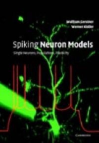 Spiking Neuron Models