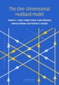 One-Dimensional Hubbard Model