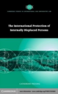 International Protection of Internally Displaced Persons