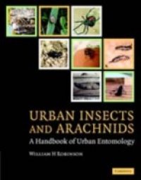 Urban Insects and Arachnids