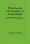 Path Integrals and Anomalies in Curved Space