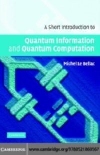 Short Introduction to Quantum Information and Quantum Computation