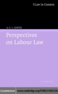 Perspectives on Labour Law