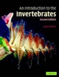 Introduction to the Invertebrates