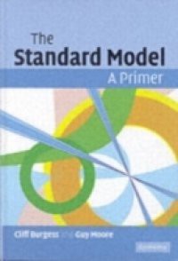 Standard Model