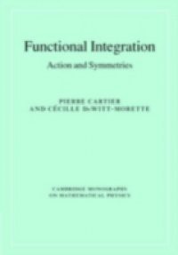 Functional Integration