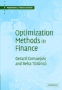 Optimization Methods in Finance