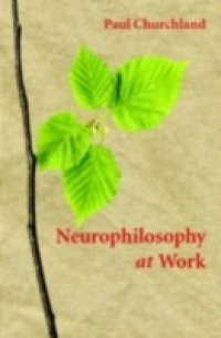 Neurophilosophy at Work