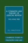 Common Law Theory of Judicial Review
