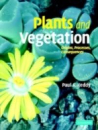 Plants and Vegetation