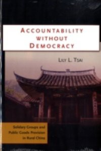 Accountability without Democracy