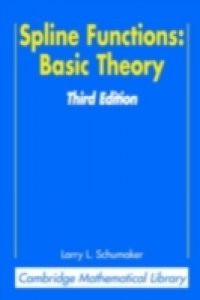 Spline Functions: Basic Theory