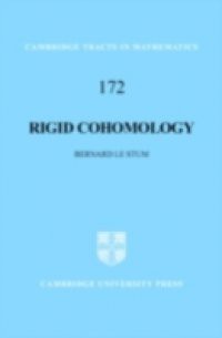 Rigid Cohomology