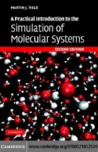 Practical Introduction to the Simulation of Molecular Systems