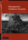 Homogeneous Turbulence Dynamics