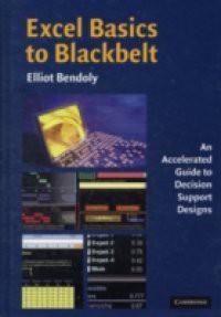 Excel Basics to Blackbelt