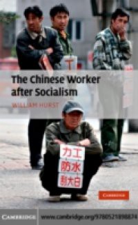 Chinese Worker after Socialism