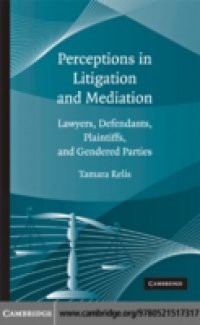 Perceptions in Litigation and Mediation