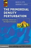 Primordial Density Perturbation