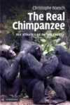 Real Chimpanzee