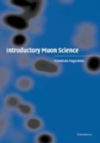 Introductory Muon Science