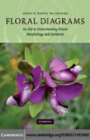 Floral Diagrams