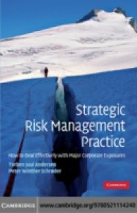 Strategic Risk Management Practice