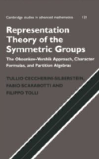 Representation Theory of the Symmetric Groups