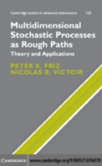 Multidimensional Stochastic Processes as Rough Paths