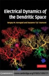 Electrical Dynamics of the Dendritic Space
