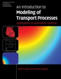 Introduction to Modeling of Transport Processes