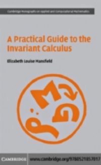 Practical Guide to the Invariant Calculus