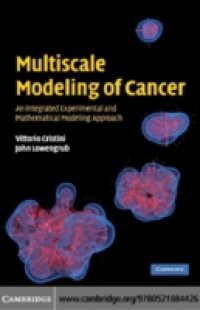 Multiscale Modeling of Cancer