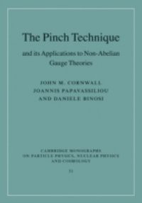 Pinch Technique and its Applications to Non-Abelian Gauge Theories