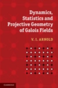 Dynamics, Statistics and Projective Geometry of Galois Fields