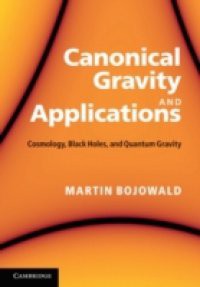 Canonical Gravity and Applications