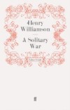 Solitary War